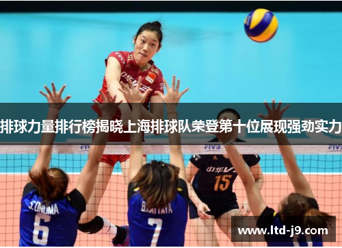 排球力量排行榜揭晓上海排球队荣登第十位展现强劲实力