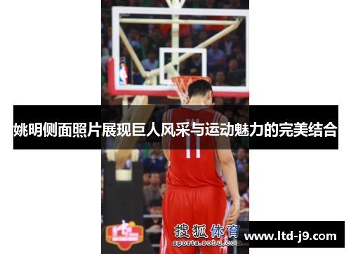 姚明侧面照片展现巨人风采与运动魅力的完美结合