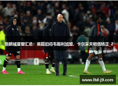 新鹏城夏窗汇总:英超旧将韦斯利加盟,卡尔采夫租借转正_2 新鹏城夏窗汇总:英超旧将韦斯利加盟,卡尔采夫租借转正_2