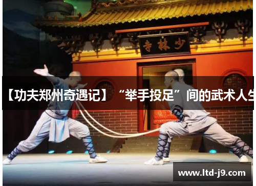 【功夫郑州奇遇记】“举手投足”间的武术人生
